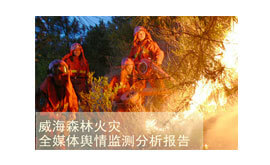 輿情監(jiān)測(cè)案例